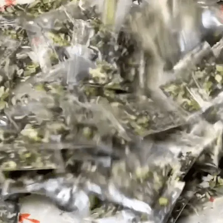 【活動!!一包湯料,秒變大厨,滿滿紫菜蝦皮,在家也能輕鬆做出美味!】免煮餛飩湯料包,用心料理,大飽口福! - 9